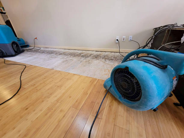 Professional Structural Drying technician working in Dunlap, IL